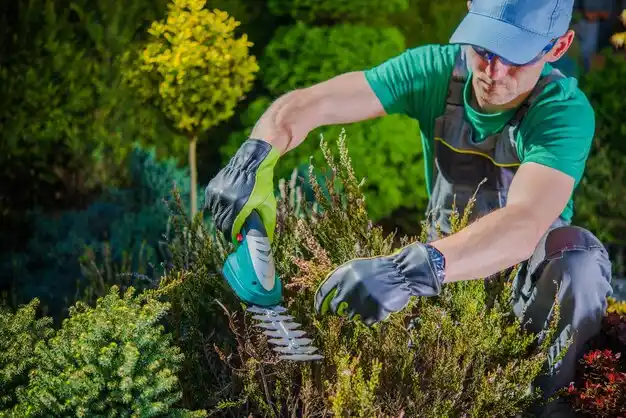 landscaping services Ansonia